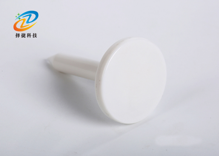 钉子电子标签ZJ-DZ013实拍展示图二